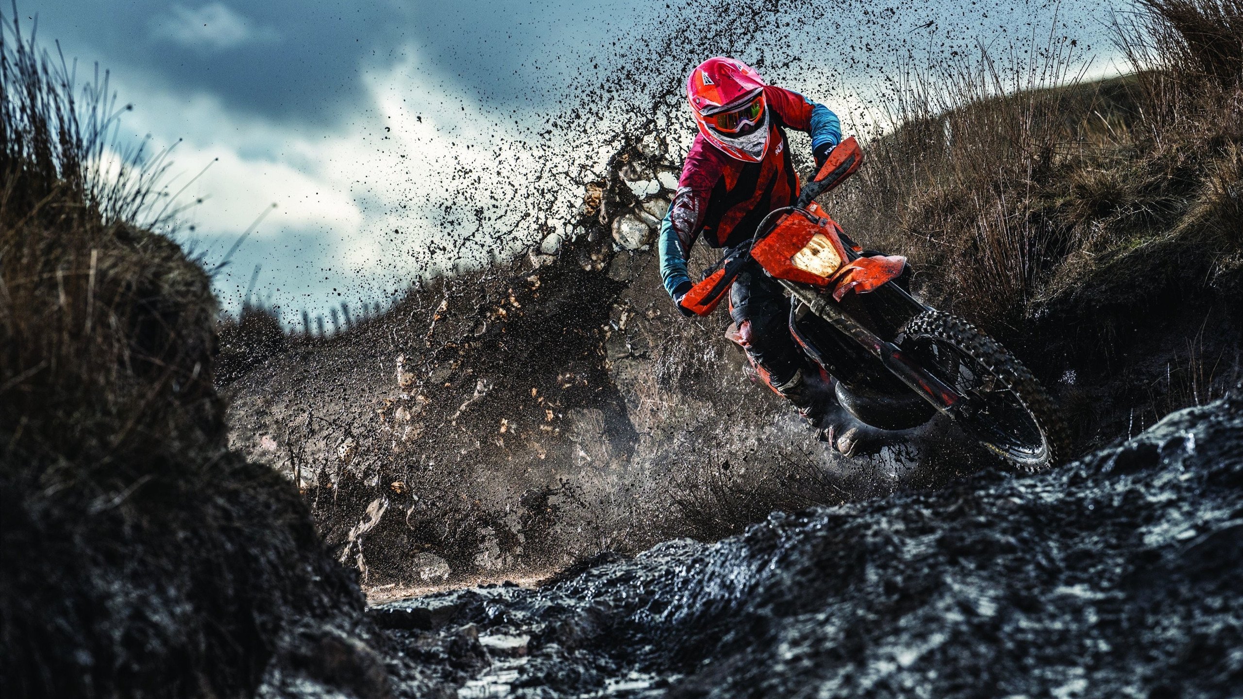 逆转之夜，马来西亚队力克印尼，戴资颖领军展现实力